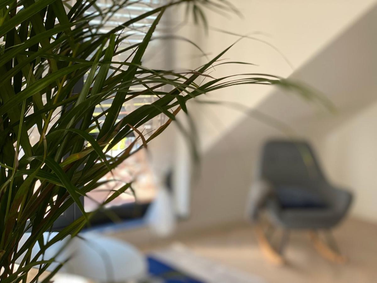 Lazy Deer - Apartamenty Jelenia Góra Eksteriør billede